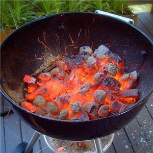 باربیکیو گریل  (پایه دارذغالی)