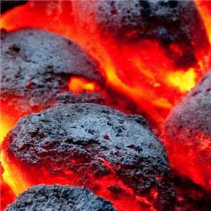 باربیکیو گریل  (پایه دارذغالی چرخ دار)